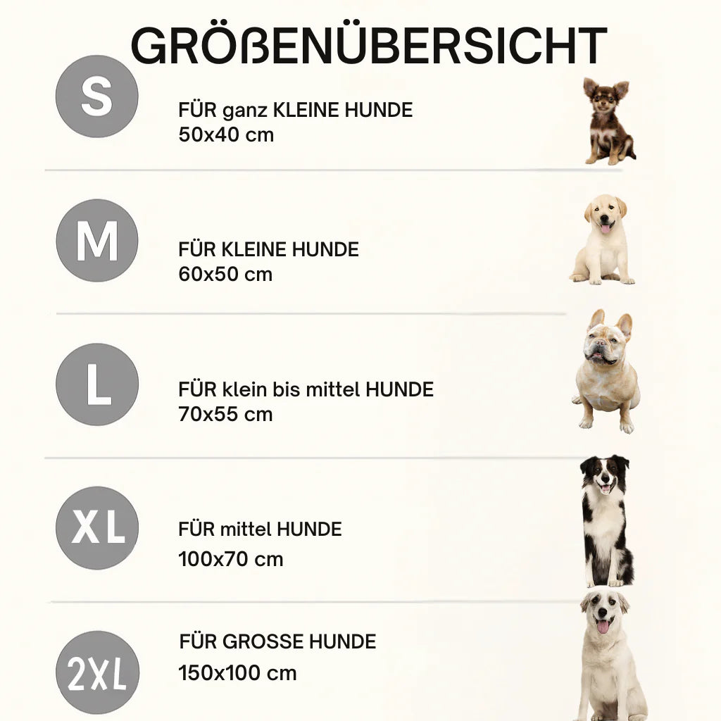 CoolPaw - Innovative Kühlmatte für Hunde