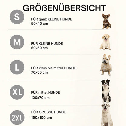 CoolPaw - Innovative Kühlmatte für Hunde